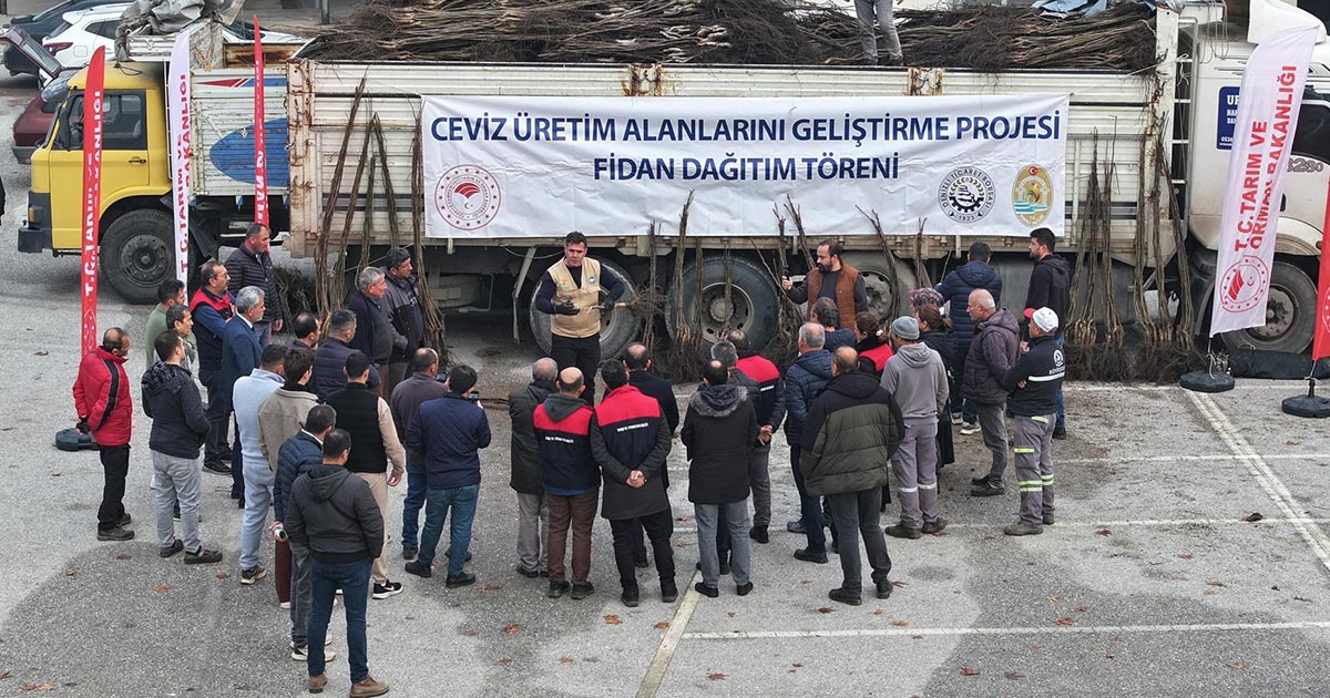 “Denizli hızla ceviz ağacı mezarlığı olacak”