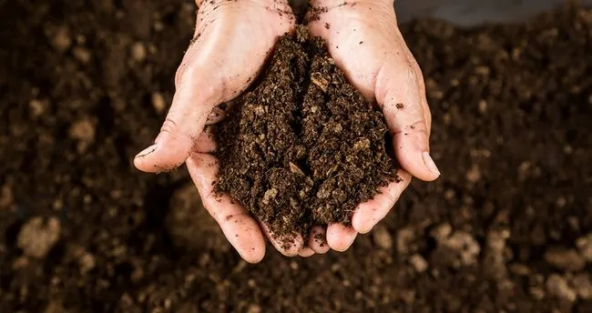 Hatipoğlu: “Zeytinliklere işgalci anlayışla yapılan saldırıya dur diyoruz!”