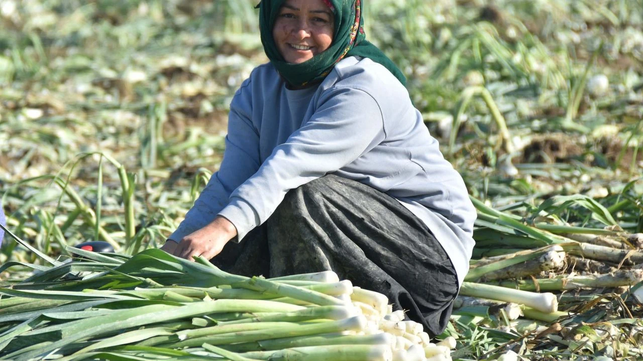  Başkan Hatipoğlu: “Semt pazarları yanmaya devam ediyor”
