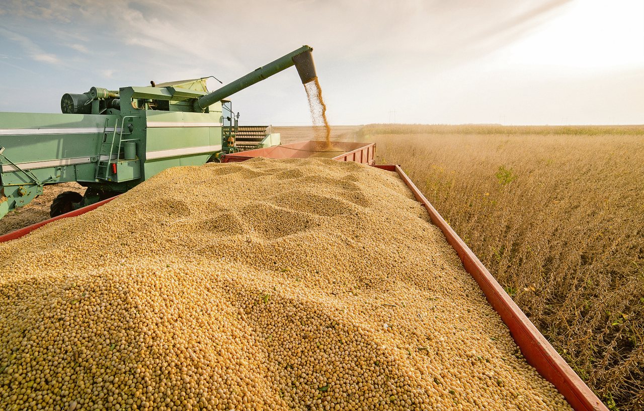 Başkan Hatipoğlu: “Tarım çöktü”